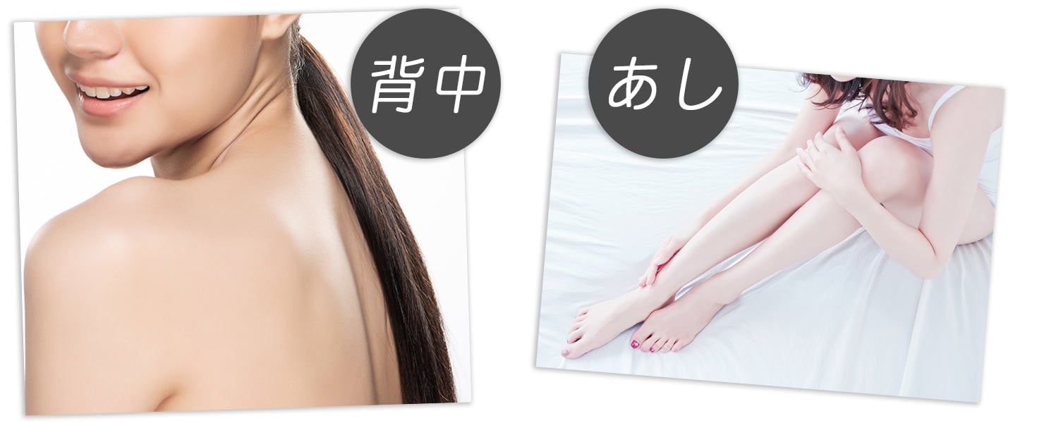 背中や足のイメージ写真