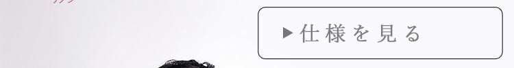 仕様を見るボタン
